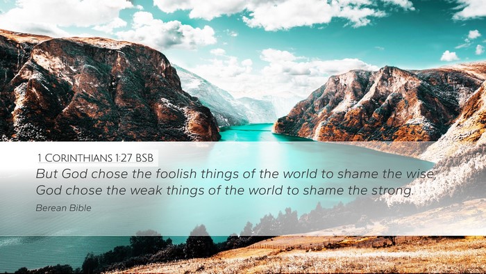1 Corinthians 1:27 BSB Bible Verse Image