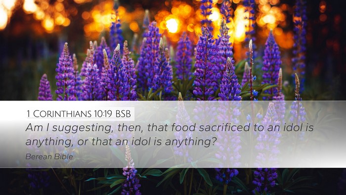 1 Corinthians 10:19 BSB Bible Verse Image
