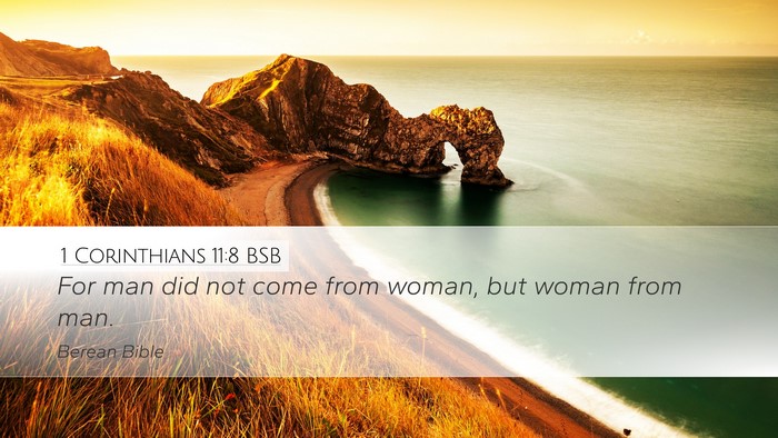 1 Corinthians 11:8 BSB Desktop Wallpaper - For man did not come from woman, but woman from - Desktop Bible Verse Wallpaper