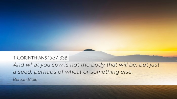 1 Corinthians 15:37 BSB Bible Verse Image