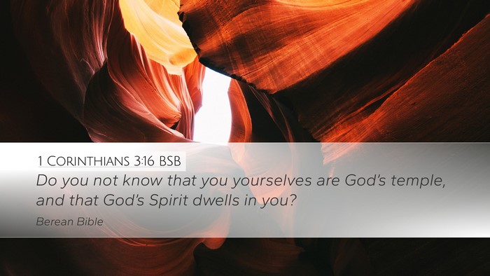 1 Corinthians 3:16 BSB Bible Verse Image