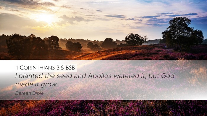 1 Corinthians 3:6 BSB Bible Verse Image