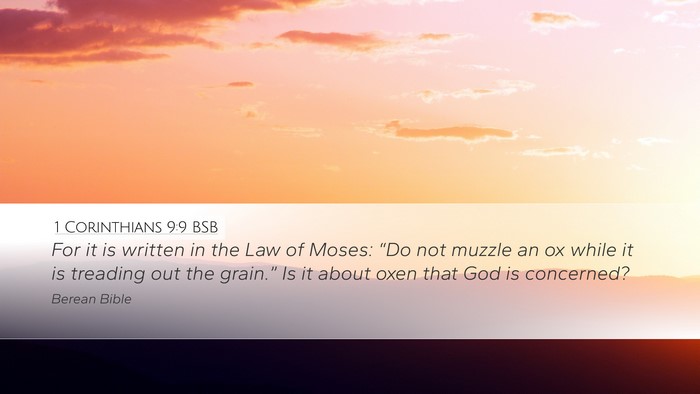 1 Corinthians 9:9 BSB Bible Verse Image