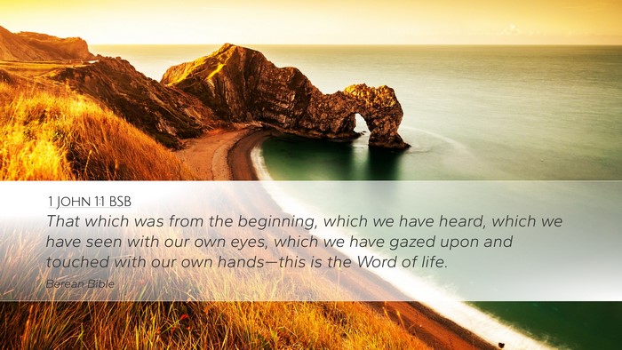 1 John 1:1 BSB Desktop Wallpaper - That which was from the beginning, which we have - Desktop Bible Verse Wallpaper