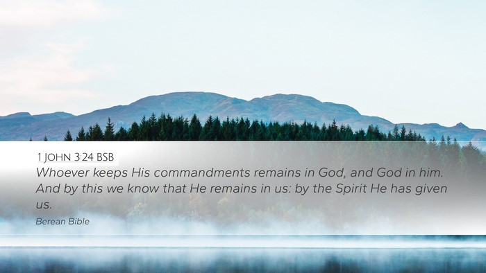 1 John 3:24 BSB Bible Verse Image