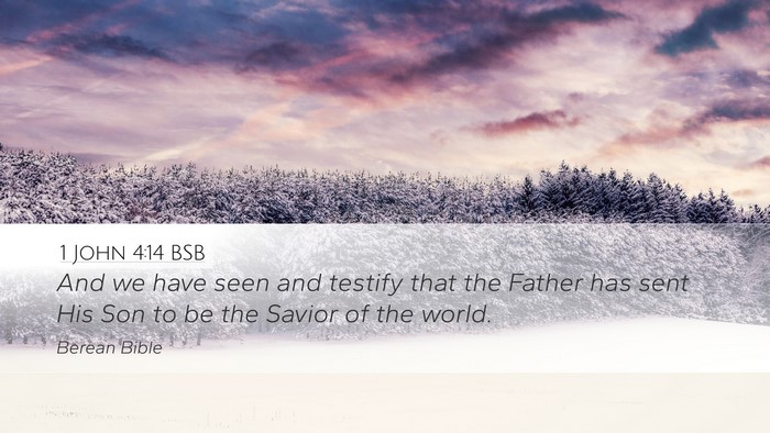 1 John 4:14 BSB Bible Verse Image