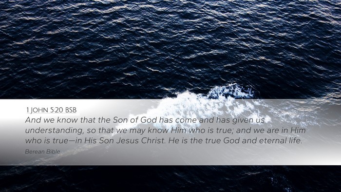 1 John 5:20 BSB Bible Verse Image