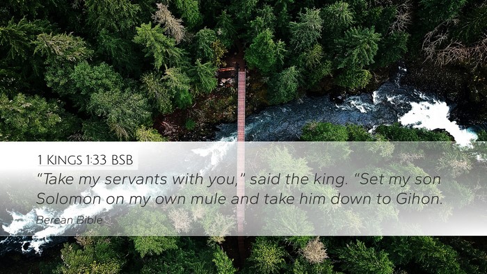 1 Kings 1:33 BSB Bible Verse Image