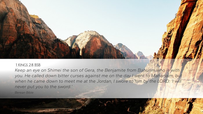1 Kings 2:8 BSB Bible Verse Image
