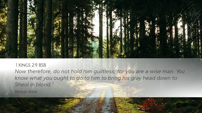 1 Kings 2:9 BSB Bible Verse Image
