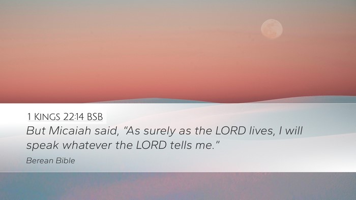 1 Kings 22:14 BSB Bible Verse Image