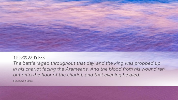 1 Kings 22:35 BSB Bible Verse Image