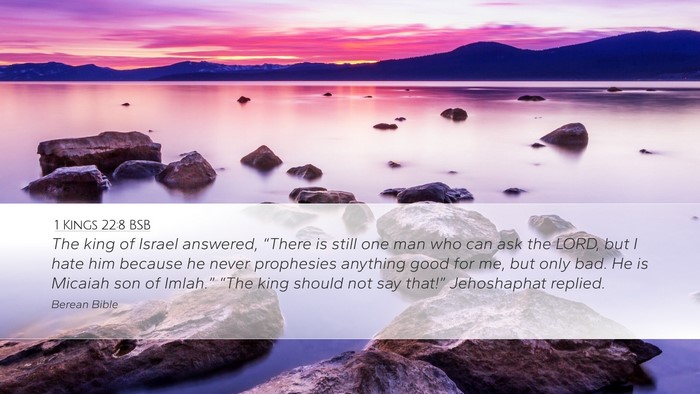 1 Kings 22:8 BSB Bible Verse Image