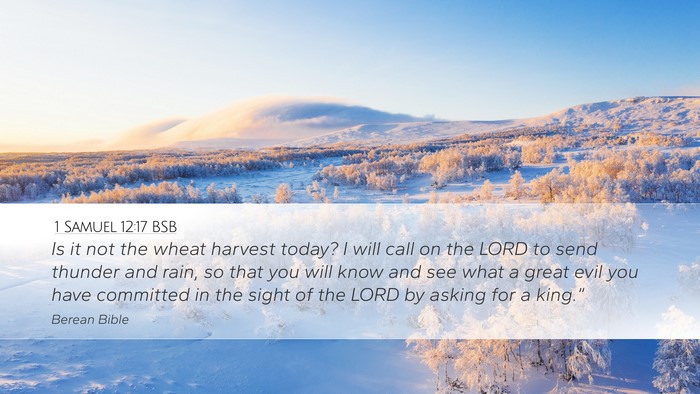 1 Samuel 12:17 BSB Bible Verse Image