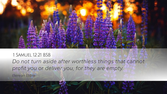 1 Samuel 12:21 BSB Bible Verse Image