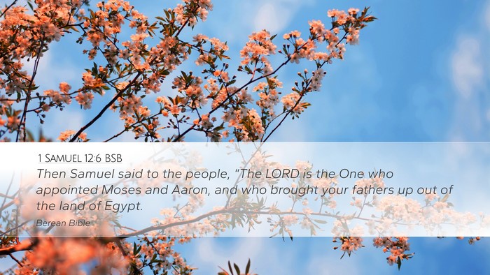 1 Samuel 12:6 BSB Bible Verse Image