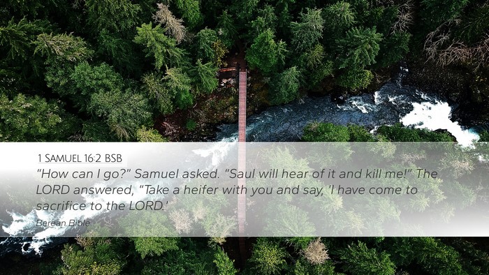 1 Samuel 16:2 BSB Bible Verse Image