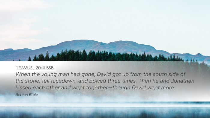 1 Samuel 20:41 BSB Bible Verse Image