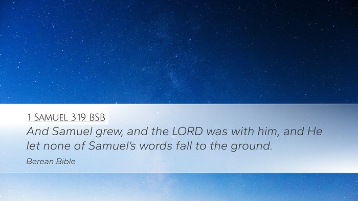 1 Samuel 3:19 BSB Bible Verse Image