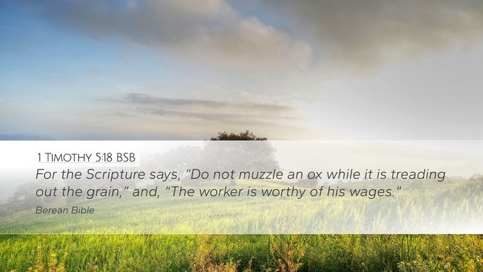 1 Timothy 5:18 BSB Desktop Wallpaper - For the Scripture says, “Do not muzzle an ox - Desktop Bible Verse Wallpaper