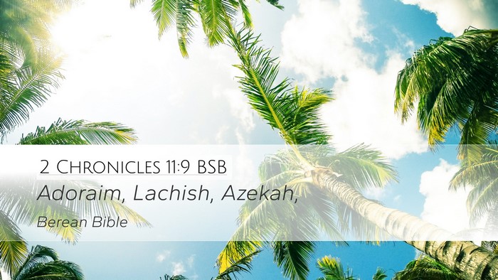 2 Chronicles 11:9 BSB Bible Verse Image