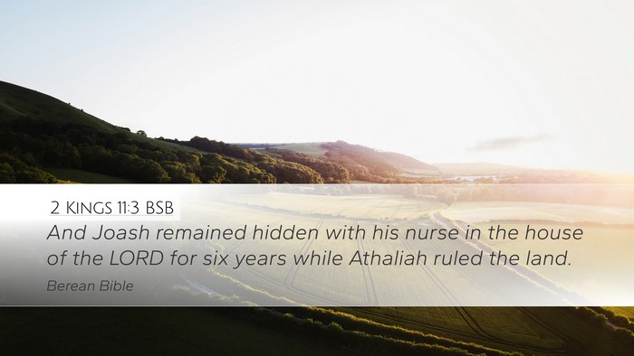 2 Kings 11:3 BSB Desktop Wallpaper - And Joash remained hidden with his nurse in the - Desktop Bible Verse Wallpaper