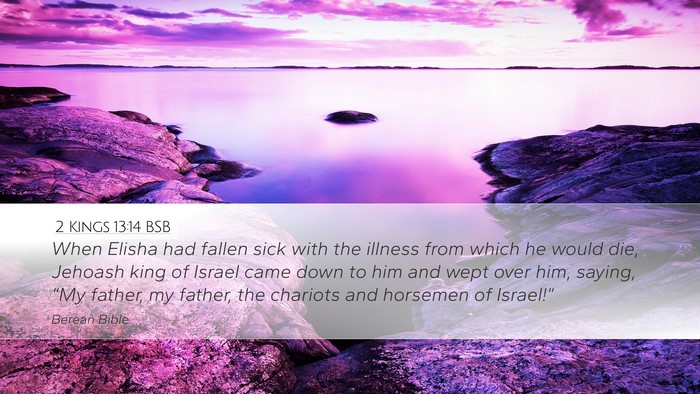 2 Kings 13:14 BSB Bible Verse Image