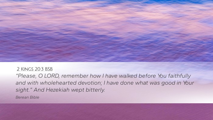 2 Kings 20:3 BSB Bible Verse Image