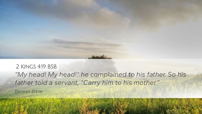 2 Kings 4:19 BSB Desktop Wallpaper - “My head! My head!” he complained to his - Desktop Bible Verse Wallpaper