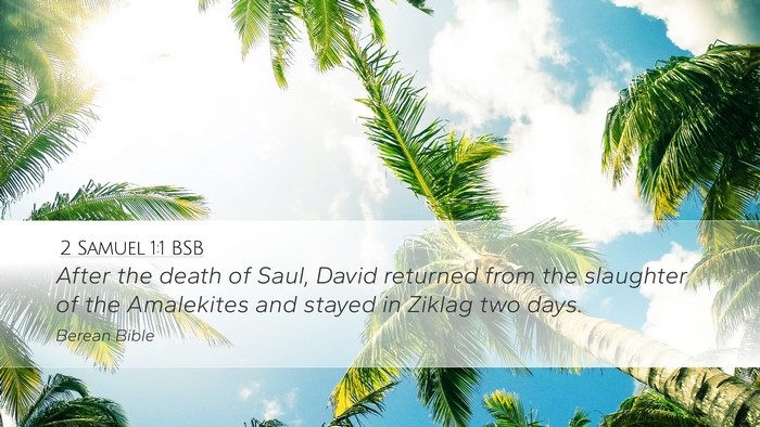 2 Samuel 1:1 BSB Desktop Wallpaper - After the death of Saul, David returned from the - Desktop Bible Verse Wallpaper