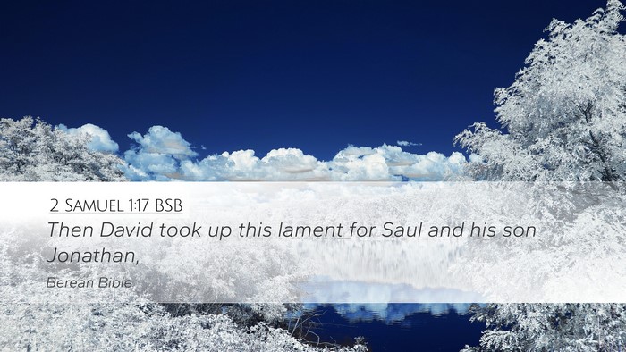 2 Samuel 1:17 BSB Bible Verse Image