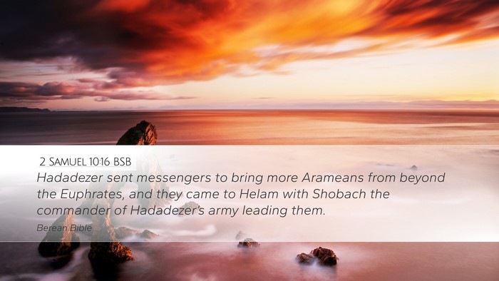 2 Samuel 10:16 BSB Bible Verse Image