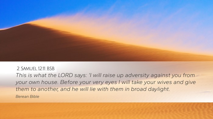 2 Samuel 12:11 BSB Bible Verse Image