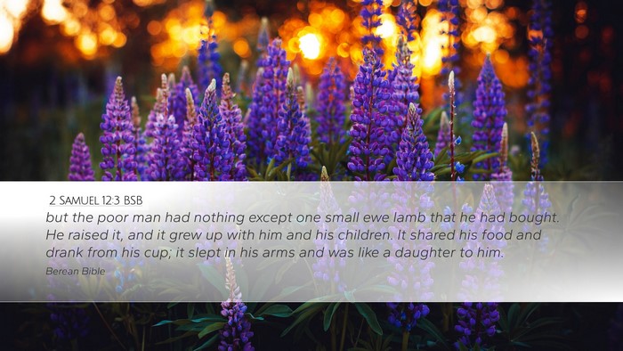2 Samuel 12:3 BSB Bible Verse Image