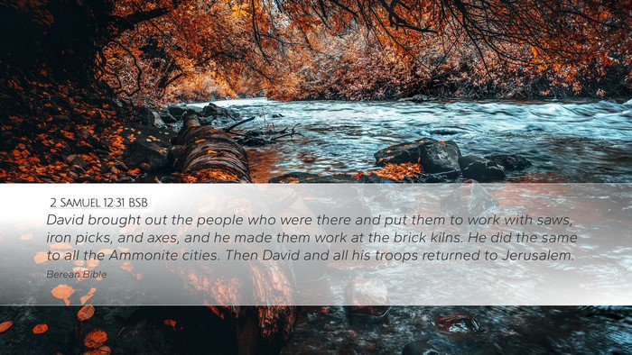 2 Samuel 12:31 BSB Bible Verse Image