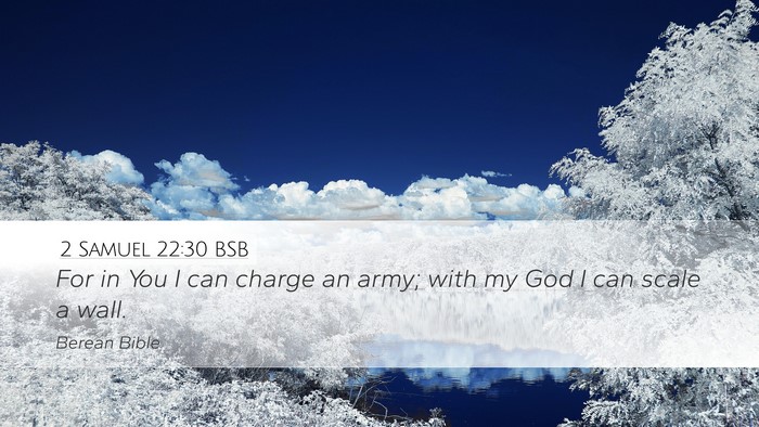 2 Samuel 22:30 BSB Bible Verse Image