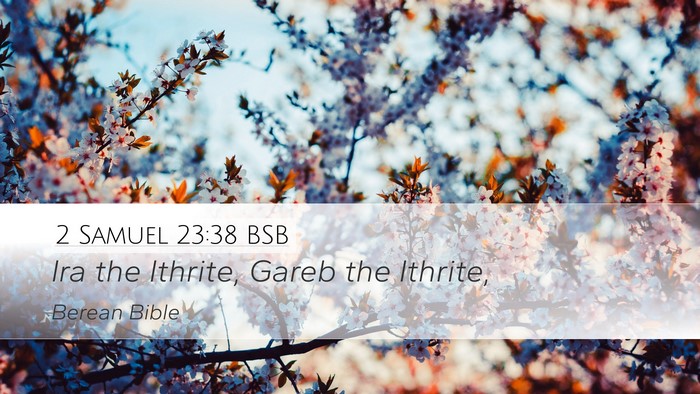 2 Samuel 23:38 BSB Bible Verse Image