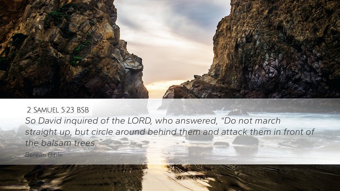 2 Samuel 5:23 BSB Desktop Wallpaper - So David inquired of the LORD, who answered, - Desktop Bible Verse Wallpaper