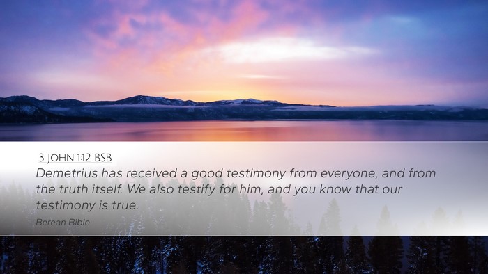 3 John 1:12 BSB Bible Verse Image