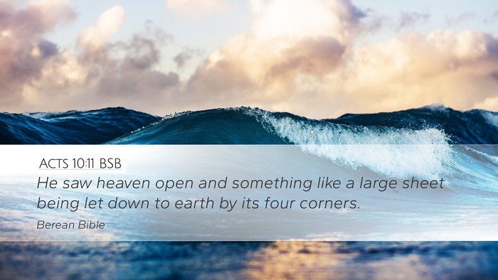 Acts 10:11 BSB Bible Verse Image