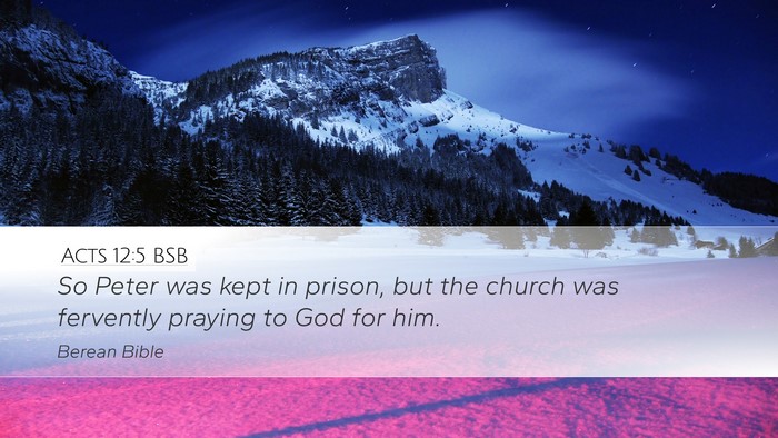Acts 12:5 BSB Bible Verse Image