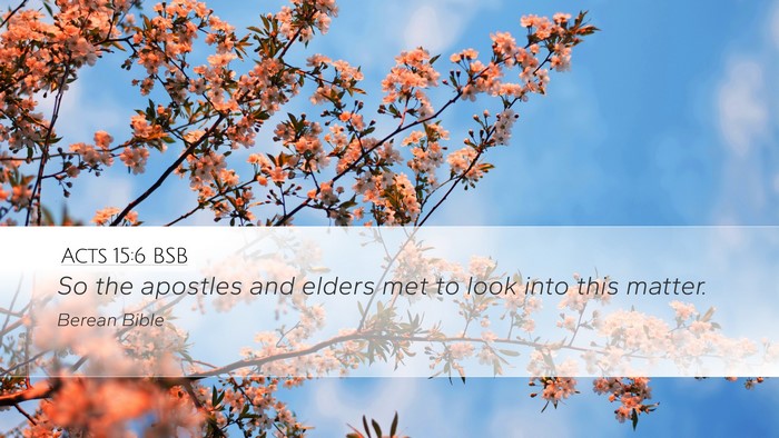 Acts 15:6 BSB Bible Verse Image
