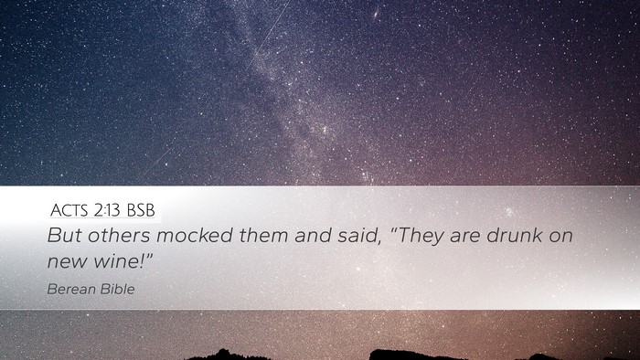 Acts 2:13 BSB Bible Verse Image