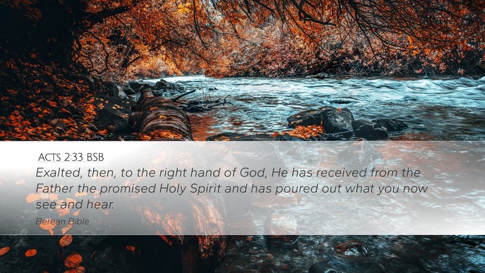 Acts 2:33 BSB Bible Verse Image