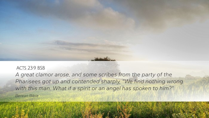 Acts 23:9 BSB Bible Verse Image