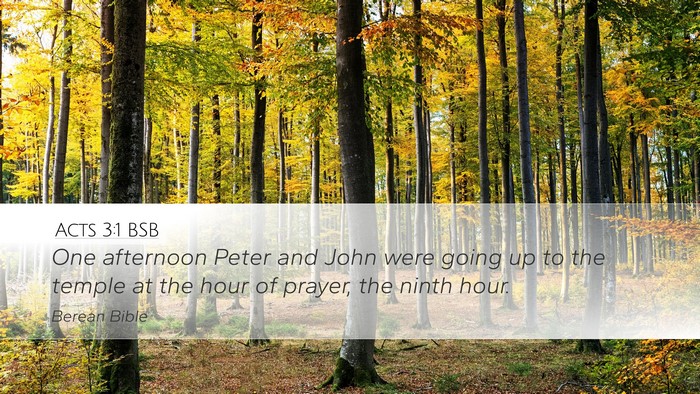 Acts 3:1 BSB Bible Verse Image