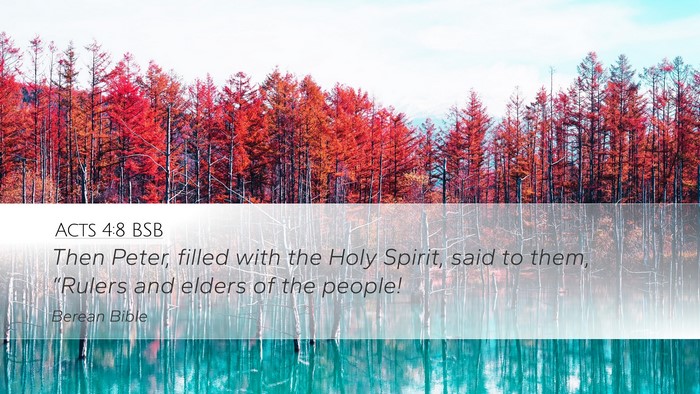 Acts 4:8 BSB Bible Verse Image