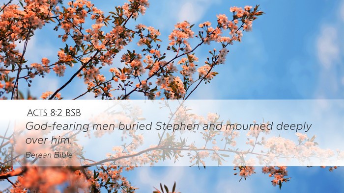 Acts 8:2 BSB Bible Verse Image