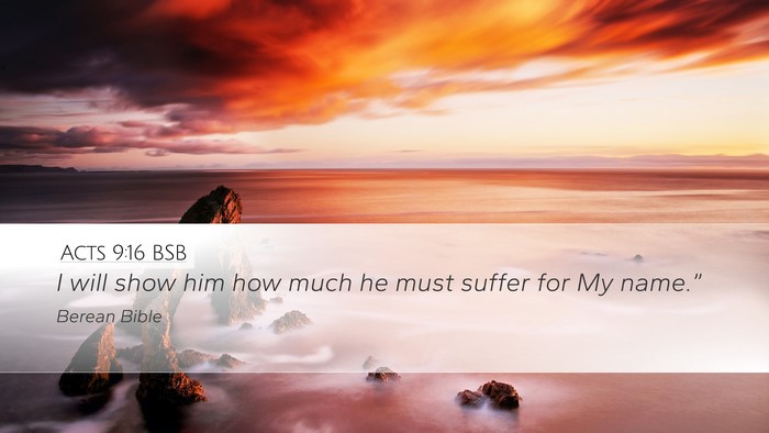 Acts 9:16 BSB Bible Verse Image