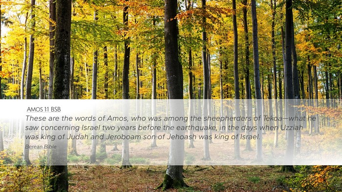 Amos 1:1 BSB Bible Verse Image